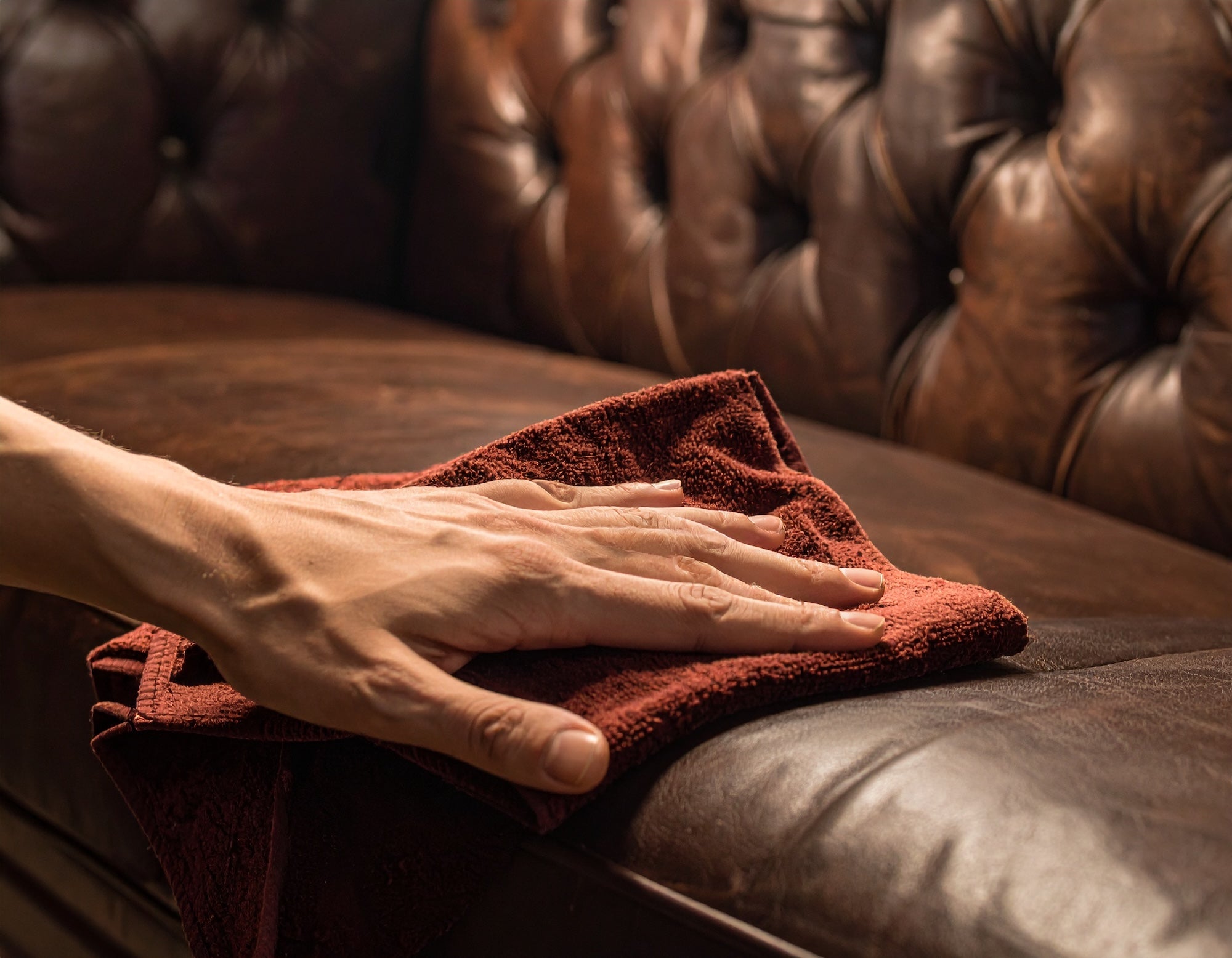 Firefly_hand_conditioning_a_leather_couch_with_a_soft_red_cloth_51660.jpg